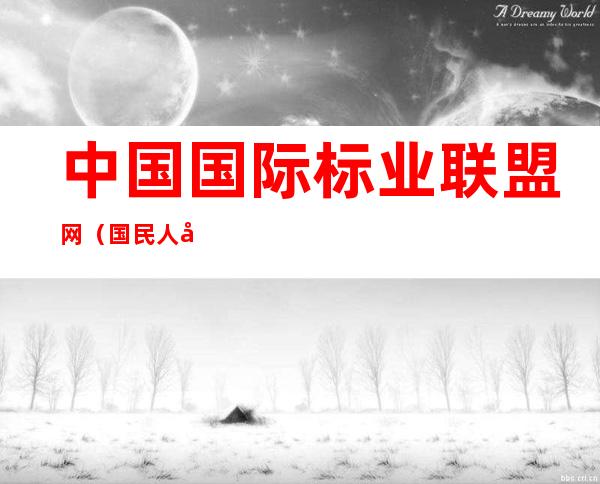 中国国际标业联盟网（国民人寿公司）