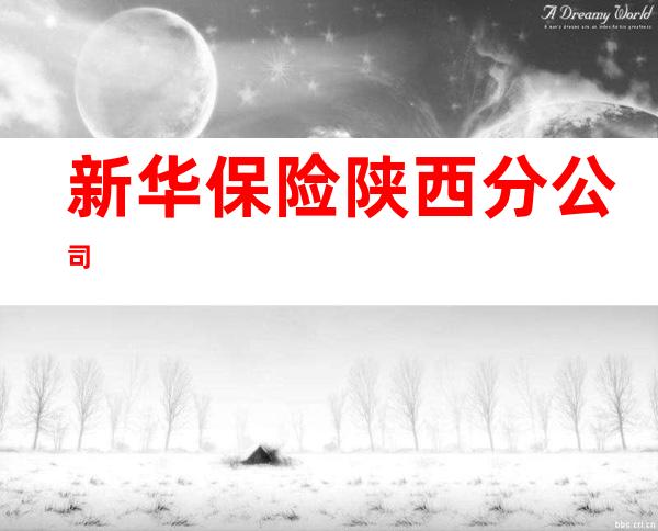 新华保险陕西分公司